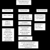 Финансовое планирование и разработка бюджета предприятия Бюджетирование как метод организации планирования должен